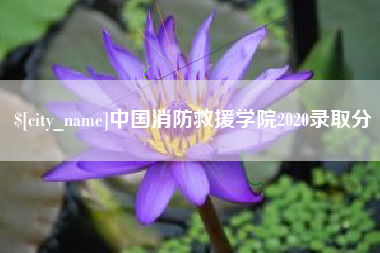 双鸭山中国消防救援学院2020录取分