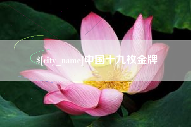 双鸭山中国十九枚金牌