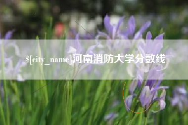 双鸭山河南消防大学分数线