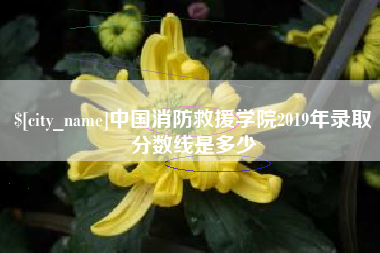 双鸭山中国消防救援学院2019年录取分数线是多少