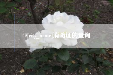 双鸭山消防证的查询