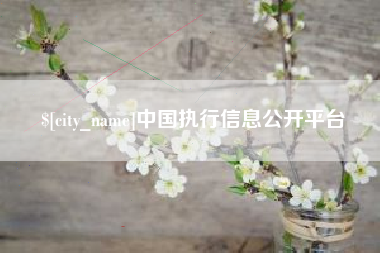 双鸭山中国执行信息公开平台
