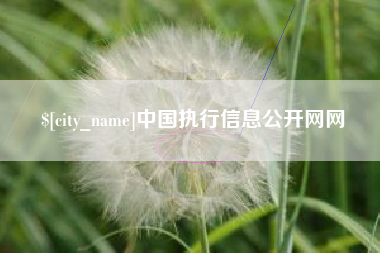 双鸭山中国执行信息公开网网