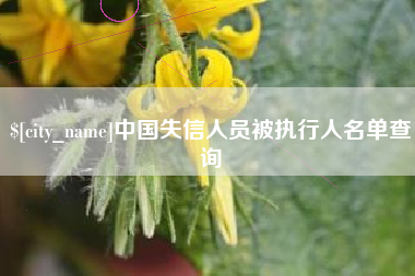 双鸭山中国失信人员被执行人名单查询