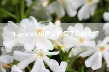 双鸭山中国金牌得了几枚金牌