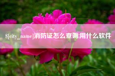 双鸭山消防证怎么查询,用什么软件