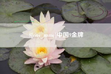 双鸭山中国9金牌