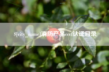 双鸭山消防产品cccf认证目录