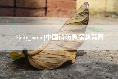 双鸭山中国消防救援教育网