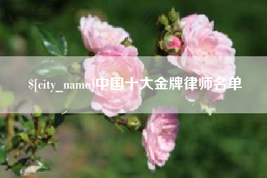 双鸭山中国十大金牌律师名单