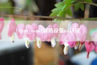双鸭山消防设备ccc认证