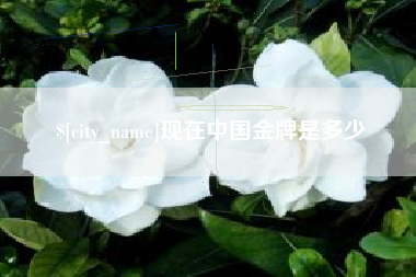 双鸭山现在中国金牌是多少