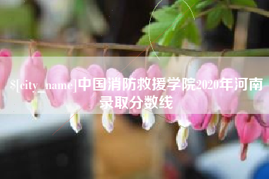 双鸭山中国消防救援学院2020年河南录取分数线