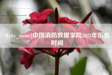 双鸭山中国消防救援学院2021年报名时间