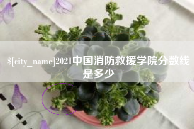 双鸭山2021中国消防救援学院分数线是多少