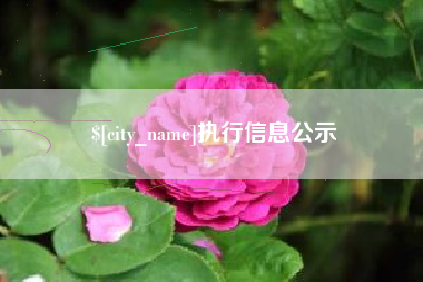 双鸭山执行信息公示