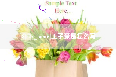 双鸭山王子豪是怎么写