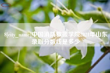 双鸭山中国消防救援学院2021年山东录取分数线是多少