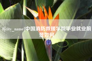 双鸭山中国消防救援学院毕业就业前景如何