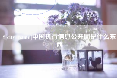 双鸭山中国执行信息公开网是什么东西