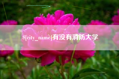 双鸭山有没有消防大学
