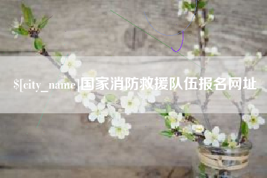 双鸭山国家消防救援队伍报名网址