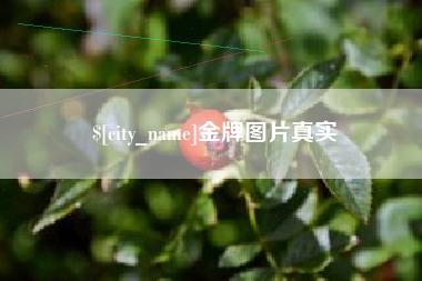 双鸭山金牌图片真实