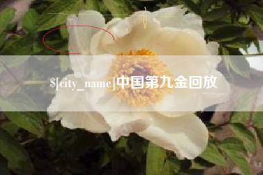 双鸭山中国第九金回放