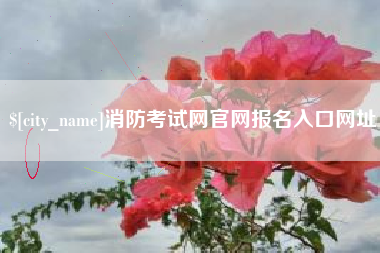 双鸭山消防考试网官网报名入口网址
