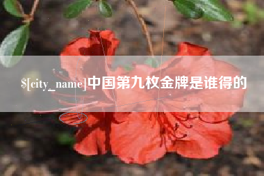 双鸭山中国第九枚金牌是谁得的