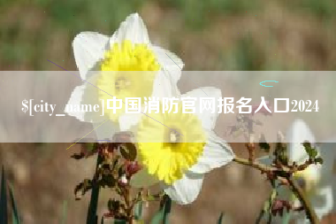 双鸭山中国消防官网报名入口2024