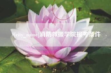 双鸭山消防救援学院报考条件