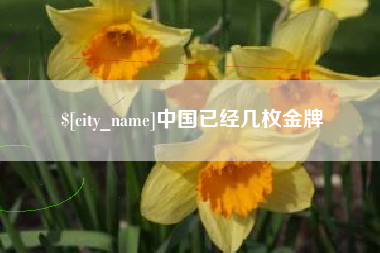 双鸭山中国已经几枚金牌