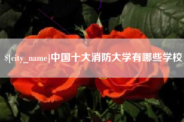 双鸭山中国十大消防大学有哪些学校