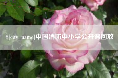 双鸭山中国消防中小学公开课回放