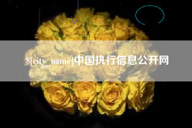 双鸭山中国执行信息公开网