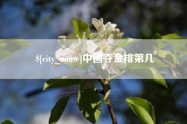 双鸭山中国夺金排第几