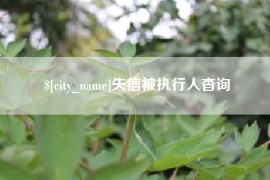 双鸭山失信被执行人杳询
