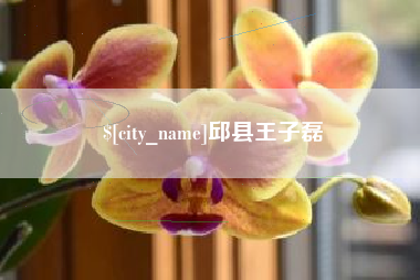双鸭山邱县王子磊