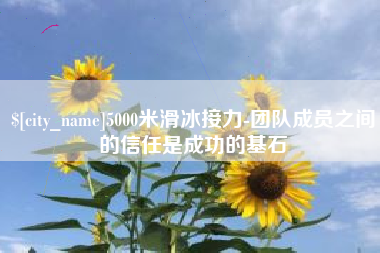 双鸭山5000米滑冰接力-团队成员之间的信任是成功的基石