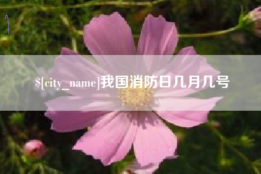 双鸭山我国消防日几月几号