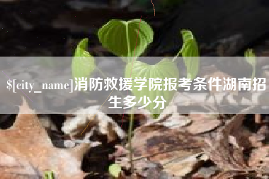 双鸭山消防救援学院报考条件湖南招生多少分