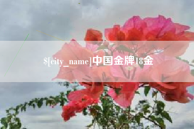 双鸭山中国金牌18金