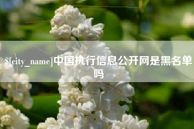 双鸭山中国执行信息公开网是黑名单吗