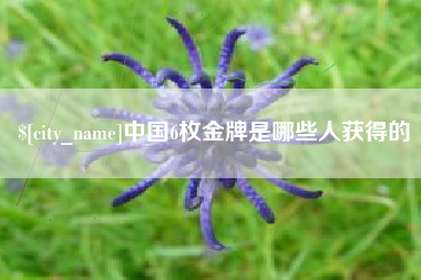双鸭山中国6枚金牌是哪些人获得的
