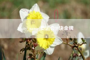 双鸭山奥运会39块金牌