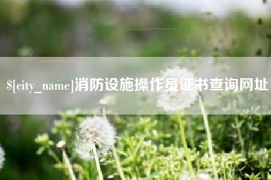 双鸭山消防设施操作员证书查询网址