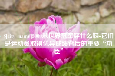 双鸭山5000米世界冠军穿什么鞋-它们是运动员取得优异成绩背后的重要“功臣”