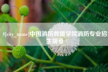 双鸭山中国消防救援学院消防专业招生简章