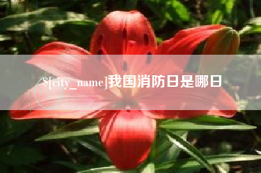 双鸭山我国消防日是哪日